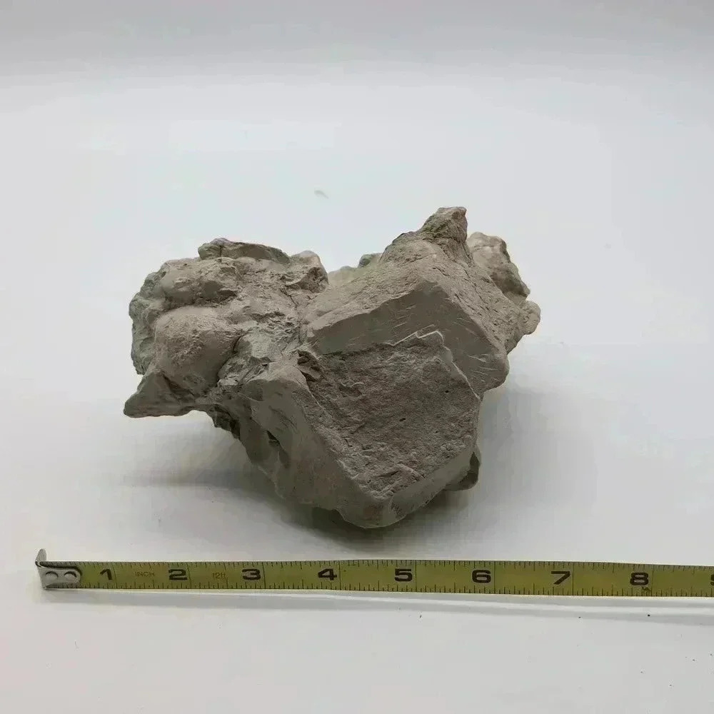 Unique Oreodont Fossil Vertebrae  in Matrix amazing display piece - Picture 3 of 7